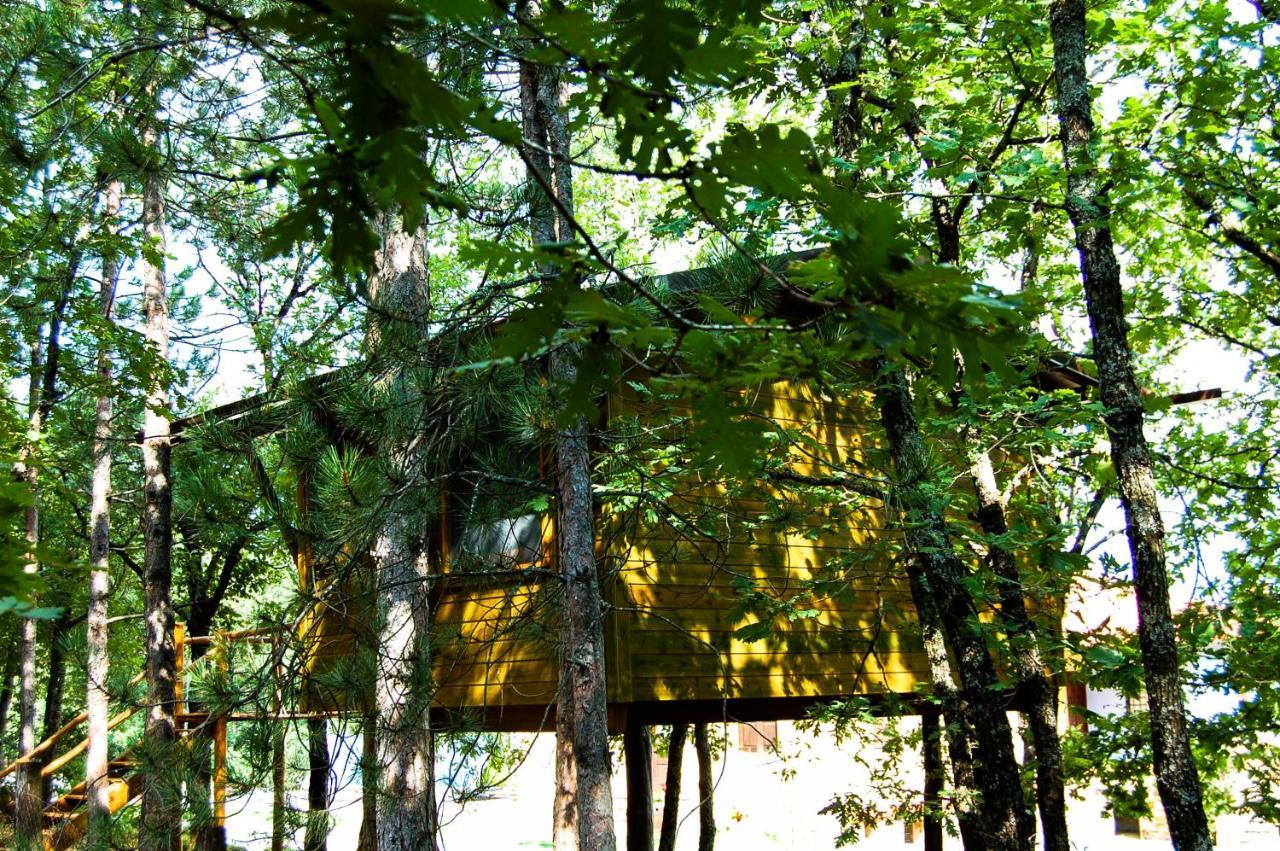 Bed and Breakfast Agramada Arnaía Exterior foto